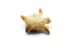 Tartarughe sfoglia cioccolato